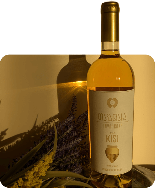 tavankara kisi